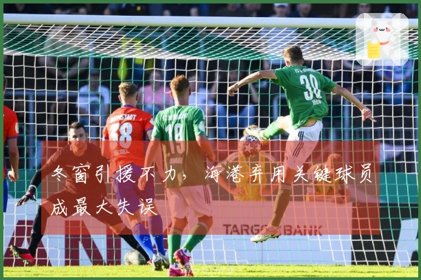 冬窗引援不力，海港弃用关键球员成最大失误